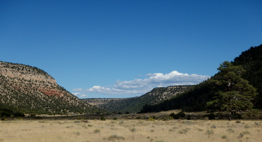 GDMBR: A wonderfully classic New Mexico country view (looking east).